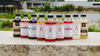 
                  
                    Sharab Shrubs
                  
                